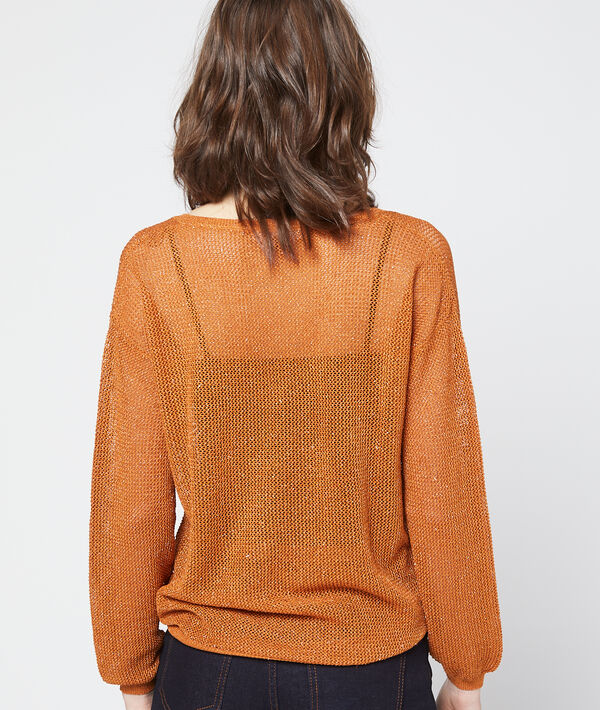 Pull transparent en maille métallisée Pull transparent en maille métallisée